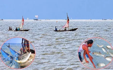 বরিশালসহ সারা দেশে নদ-নদী ও সাগরে মধ্যরাত থেকে জাটকা ধরায় নিষেধাজ্ঞা